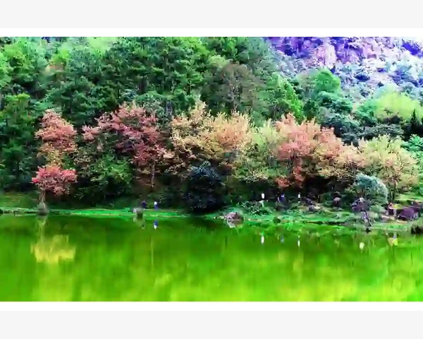 夏日酷暑，如何舒缓热气之苦？——伏天必备三伏贴之首穴探秘